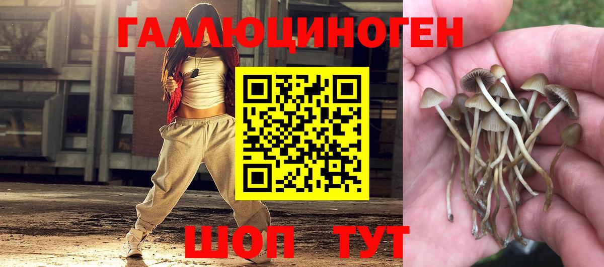 Галлюциногенные грибы мицелий Алапаевск