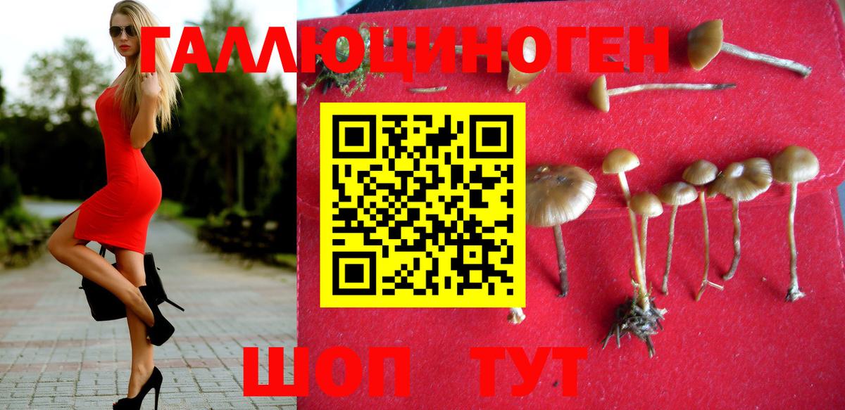 Галлюциногенные грибы Magic Shrooms  Галлюциногенные грибы ЛСД  Вход с VPN  Алапаевск 